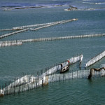 Du lịch Đà Nẵng Huế