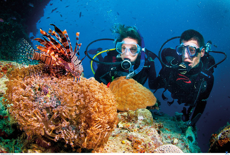 Cách lặn ngắm san hô và các kinh nghiệm để lặn biển an toàn